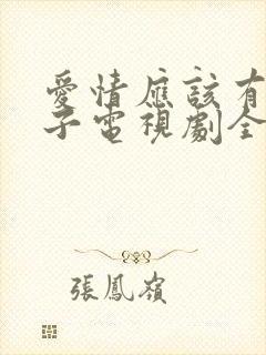 爱情应该有的样子电视剧全集免费