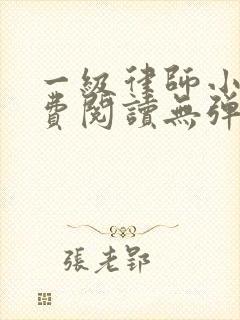 一级律师小说免费阅读无弹窗