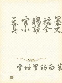 天官赐福墨香铜臭小说全文在线阅读