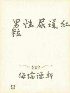 男性尿道红色肉粒