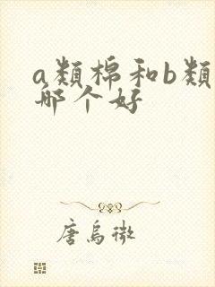 a类棉和b类棉哪个好