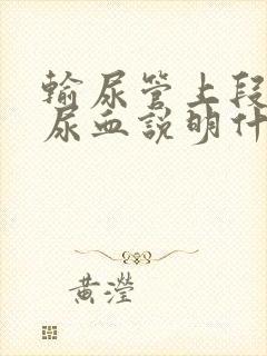 输尿管上段结石尿血说明什么