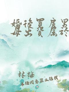 婚后买房男方父母出资属于夫妻共同财产吗