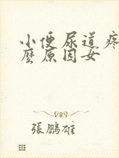 小便尿道疼痛什么原因女