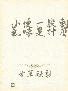 小便一股刺鼻的气味是什么原因