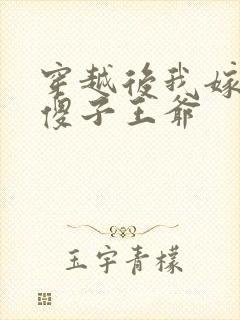 穿越后我嫁给了傻子王爷