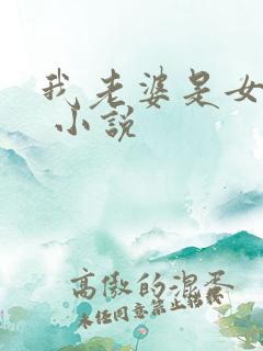 我老婆是女学霸 小说