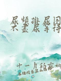 尿频排尿困难尿不尽尿等待