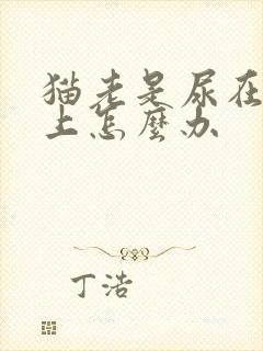 猫老是尿在沙发上怎么办