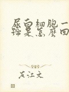 尿白细胞一个加号是怎么回事