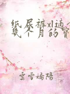 纸尿裤xl适合几个月的宝宝