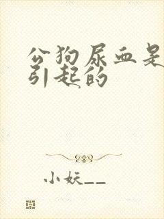 公狗尿血是怎么引起的