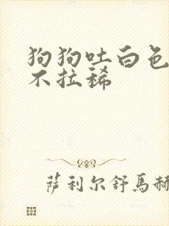 狗狗吐白色粘液不拉稀