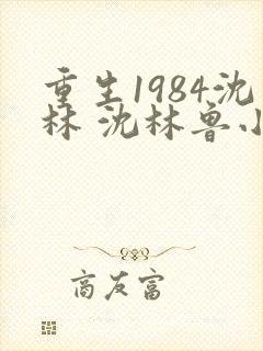 重生1984沈林 沈林鲁小荣