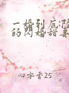 一婚到底:陆少的闪婚甜妻