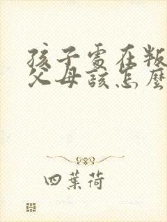 孩子处在叛逆期父母该怎么做