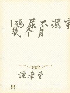 l码尿不湿穿到几个月