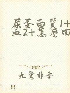 尿蛋白质1+隐血2+怎么回事