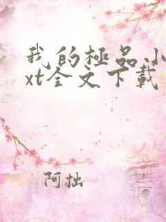 我的极品小姨txt全文下载