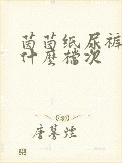 茵茵纸尿裤属于什么档次