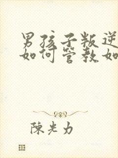 男孩子叛逆期该如何管教如何开导