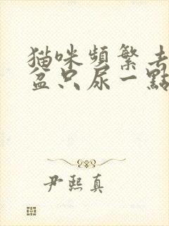 猫咪频繁去猫砂盆只尿一点