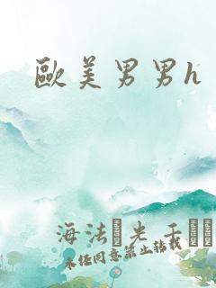 欧美男男h