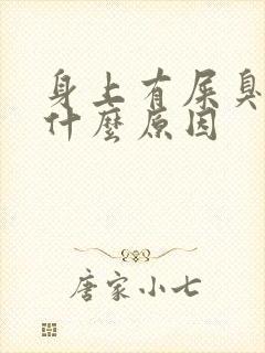 身上有屎臭味是什么原因