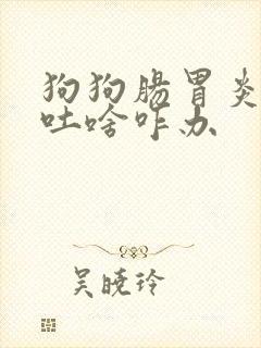 狗狗肠胃炎吃啥吐啥咋办