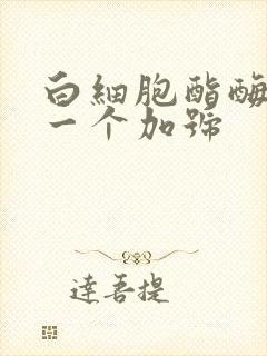 白细胞酯酶阳性一个加号