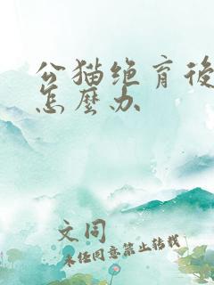 公猫绝育后乱尿怎么办