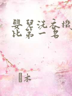 婴儿洗衣机性价比第一名