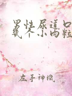 男性尿道口长了几个小肉粒