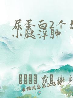 尿蛋白2个加号小腿浮肿