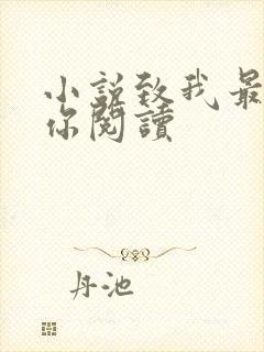 小说致我最爱的你阅读