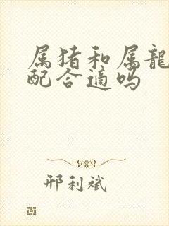 属猪和属龙的婚配合适吗