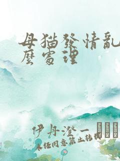 母猫发情乱尿怎么处理