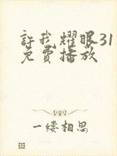 许我耀眼31集免费播放