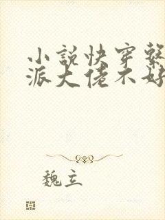 小说快穿系统反派大佬不好惹