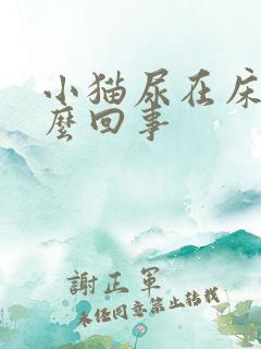 小猫尿在床上怎么回事