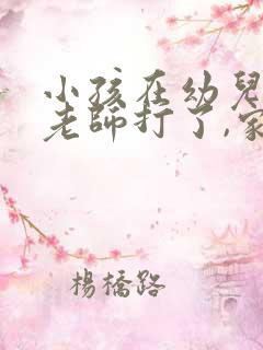 小孩在幼儿园被老师打了,家长应该怎么做