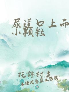 尿道口上面长了小颗粒