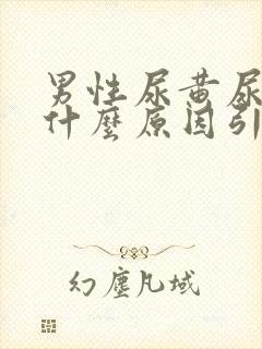 男性尿黄尿疼是什么原因引起的