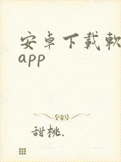 安卓下载软件的app