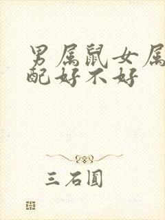 男属鼠女属狗婚配好不好