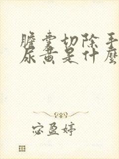 胆囊切除手术后尿黄是什么原因