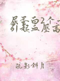 尿蛋白2个十会引起血压高吗