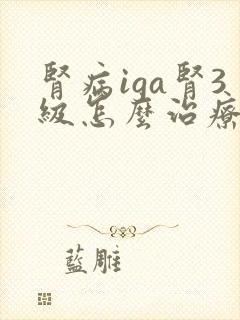 肾病iga肾3级怎么治疗