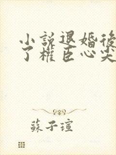 小说退婚后我成了权臣心尖宠