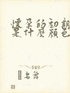 怀孕的初期尿液是什么颜色